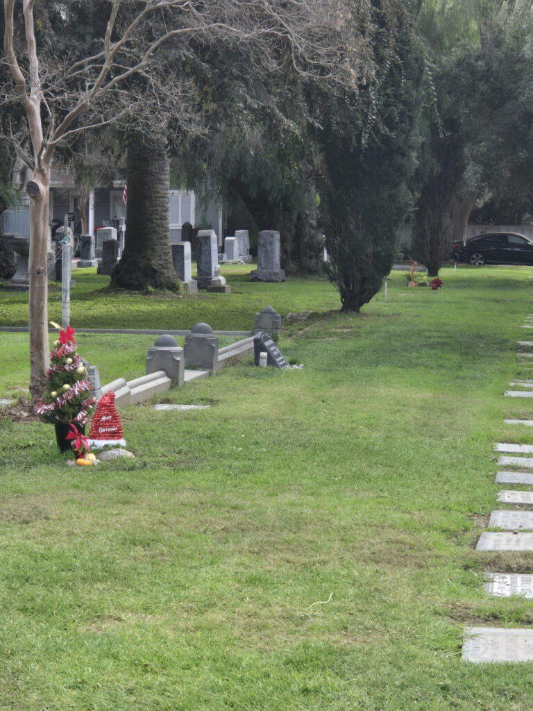 Block Z Cremation Lot with gravestones, grass pathways, and trees.