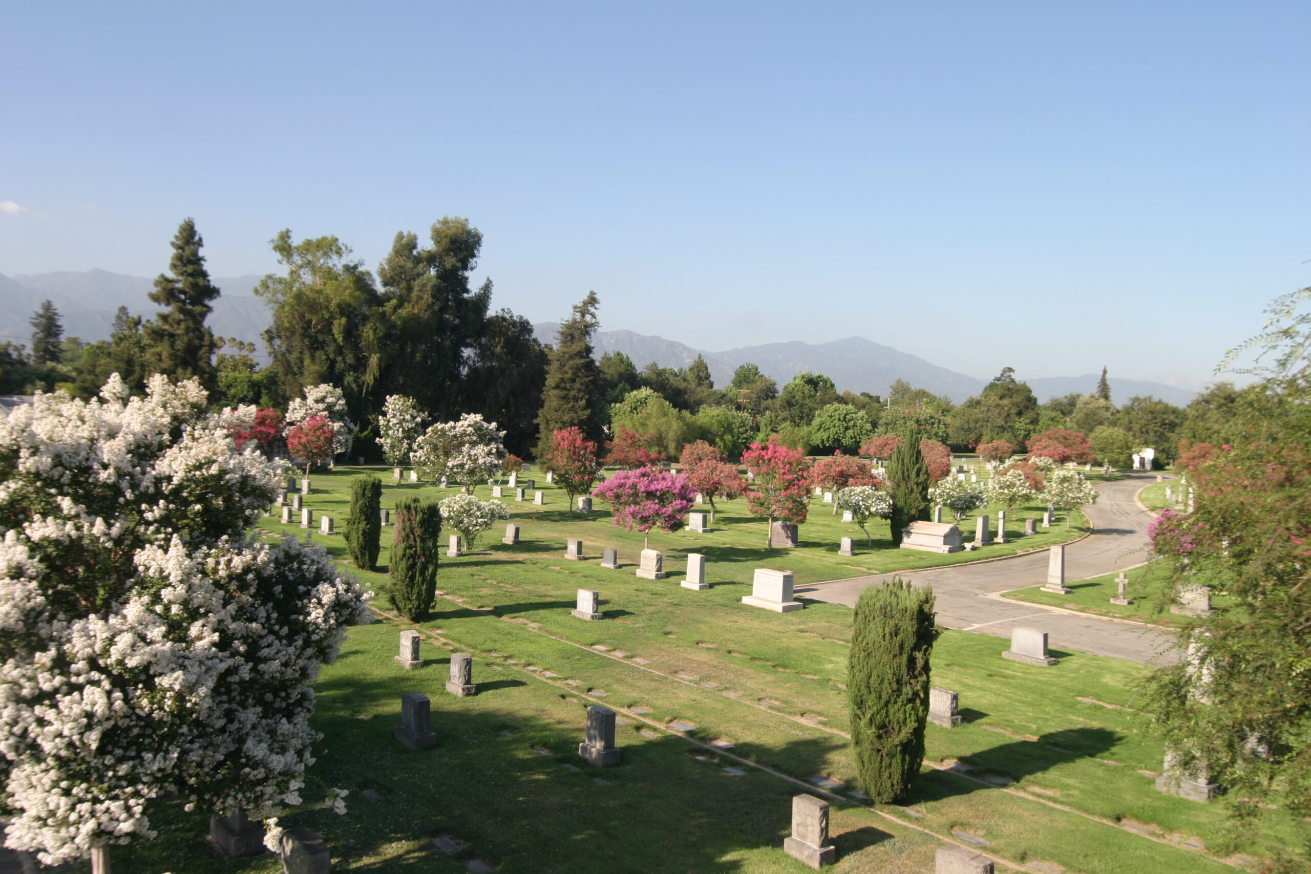 Cemetery landscape of Block N - Companion Lawn Crypt with greenery, gravestones, and trees under a clear blue sky.